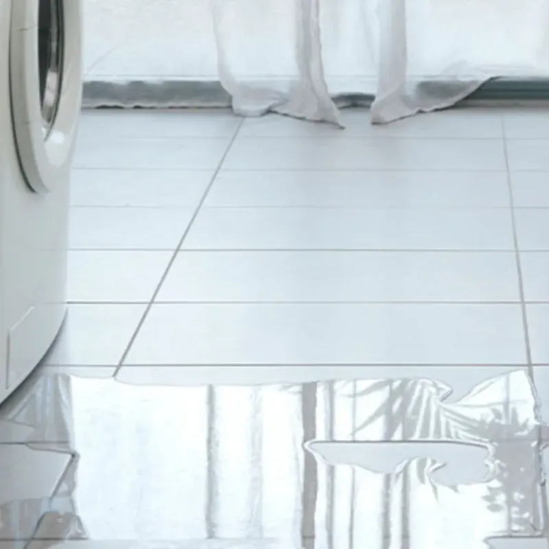 Appliance Leak Cleanup in Seadrift, TX