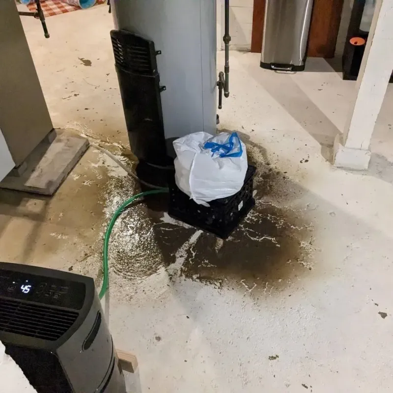 Sewage Backup Cleanup Service in Seadrift, TX